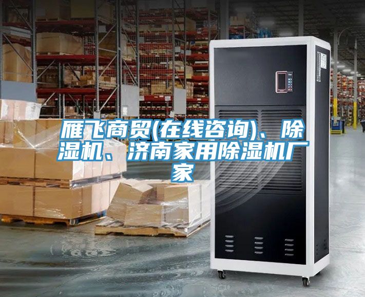 雁飛商貿(mào)(在線咨詢)、除濕機、濟南家用除濕機廠家