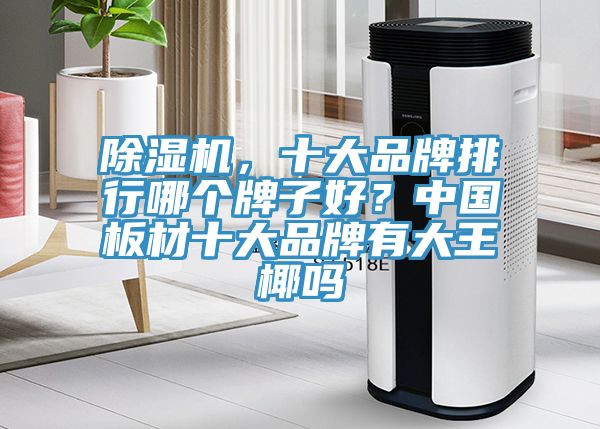 除濕機，十大品牌排行哪個牌子好？中國板材十大品牌有大王椰嗎
