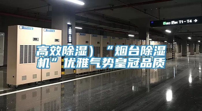 高效除濕)“煙臺除濕機”優雅氣勢皇冠品質