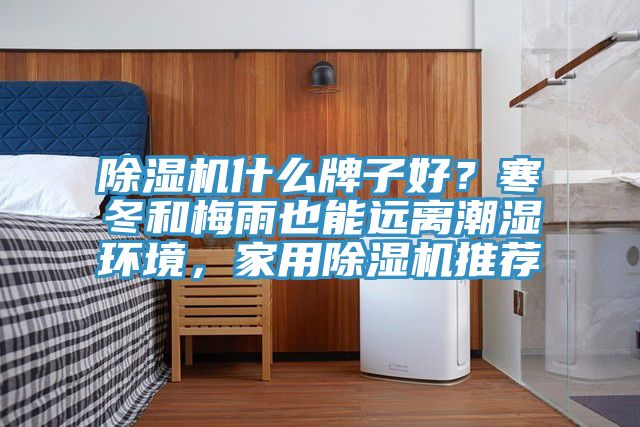 除濕機什么牌子好？寒冬和梅雨也能遠離潮濕環境，家用除濕機推薦