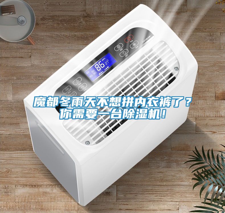 魔都冬雨天不想拼內衣褲了?你需要一臺除濕機!