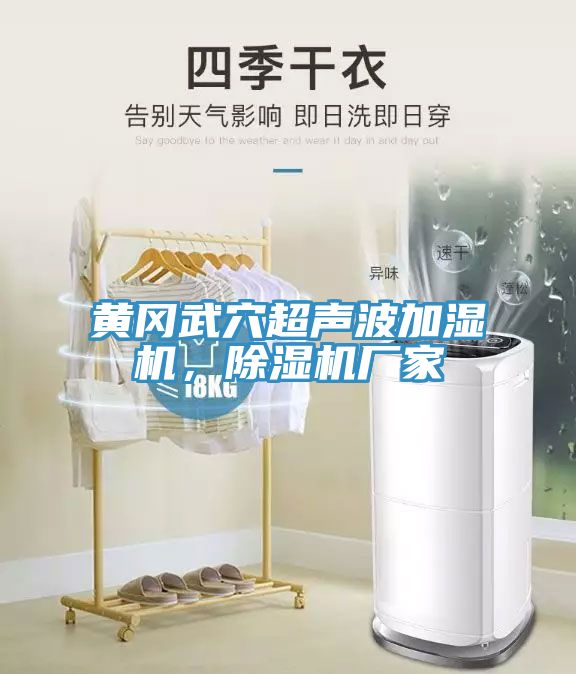 黃岡武穴超聲波加濕機,除濕機廠家
