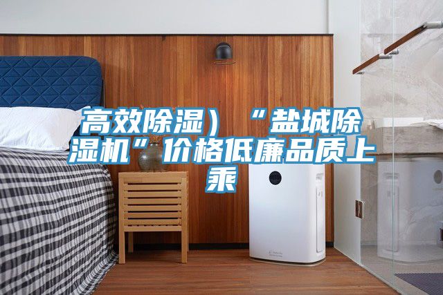 高效除濕)“鹽城除濕機(jī)”價(jià)格低廉品質(zhì)上乘