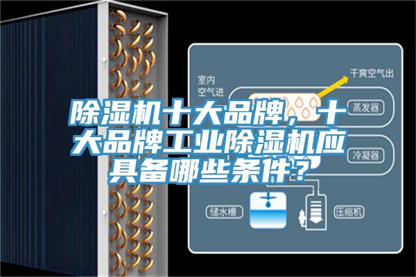 除濕機十大品牌，十大品牌工業(yè)除濕機應(yīng)具備哪些條件？