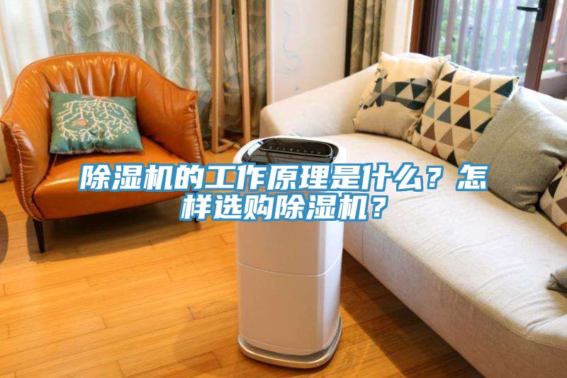 除濕機(jī)的工作原理是什么?怎樣選購除濕機(jī)?