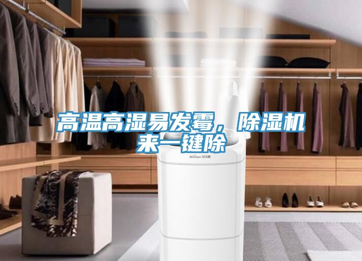 高溫高濕易發霉,除濕機來一鍵除