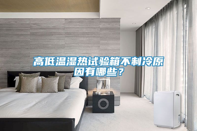 高低溫濕熱試驗箱不制冷原因有哪些?