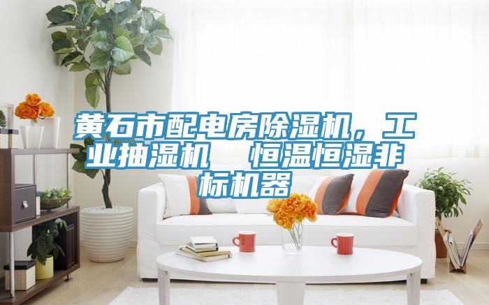 黃石市配電房除濕機，工業抽濕機  恒溫恒濕非標機器