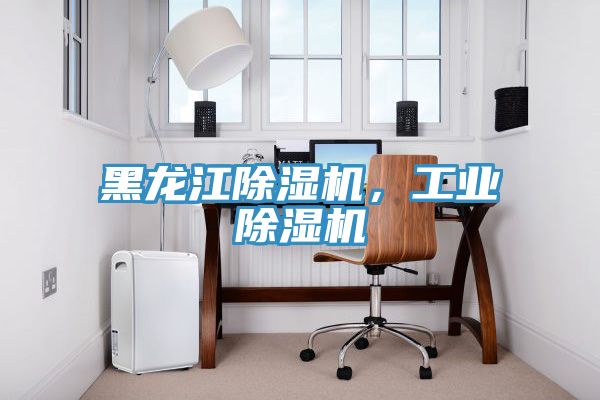 黑龍江除濕機，工業除濕機
