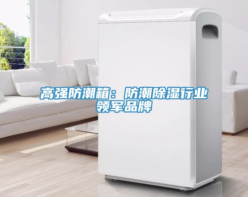 高強防潮箱:防潮除濕行業領軍品牌